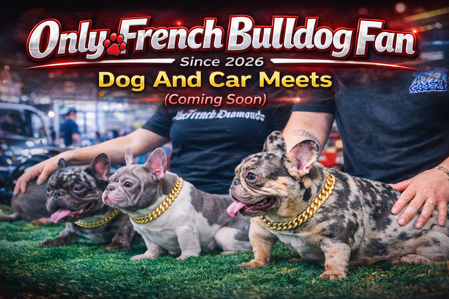  DJ SET BY COPA DJ SERVICE
COMING SOON!